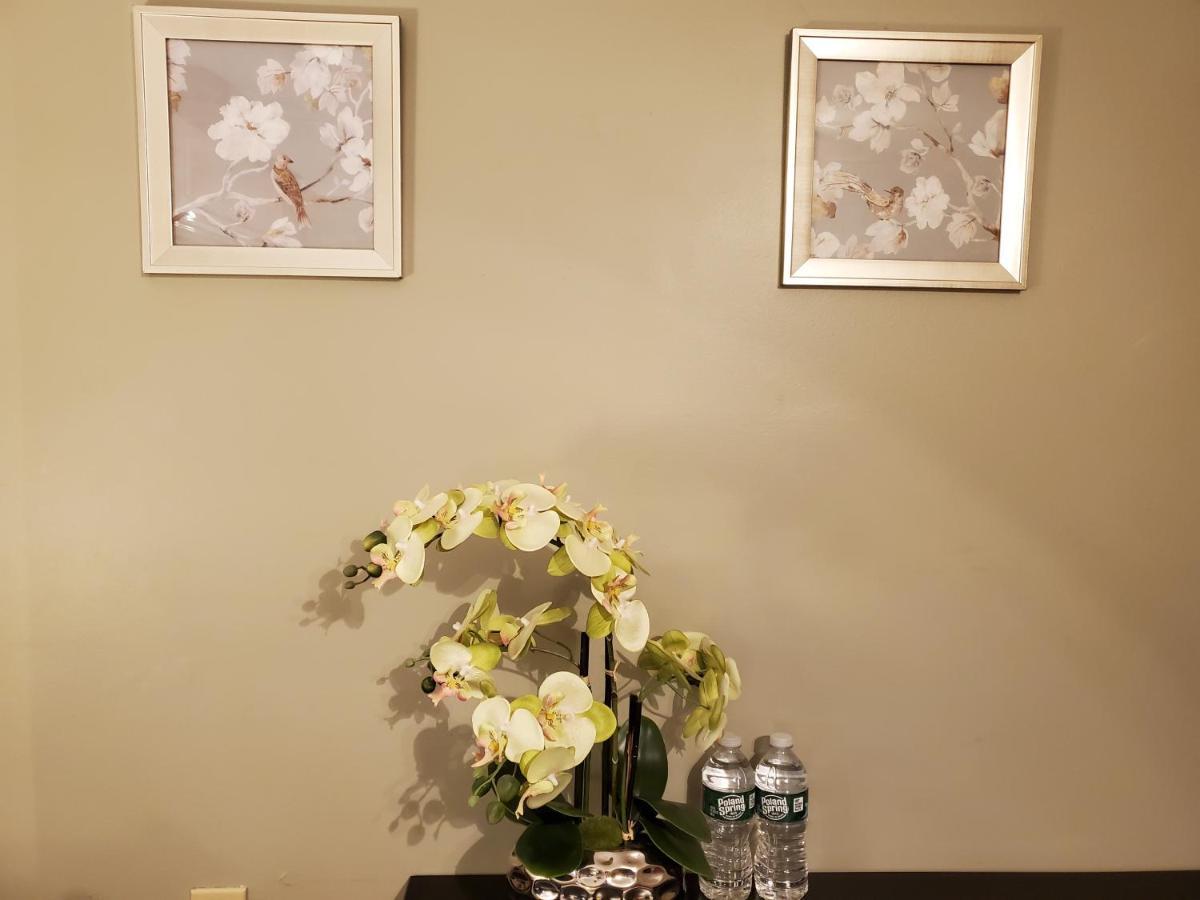 Hotel Tranquil House In Cambridge Esterno foto